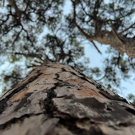 Apartmán Not Working *