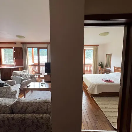 Apartmán Not Working Razlog