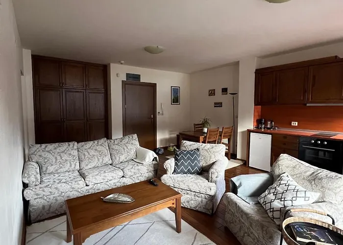 Not Working Апартаменты Разлог