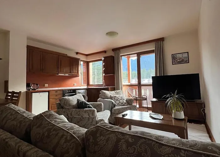 Апартаменты Not Working Разлог