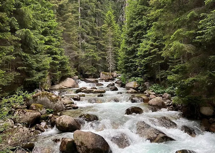 Not Working Разлог