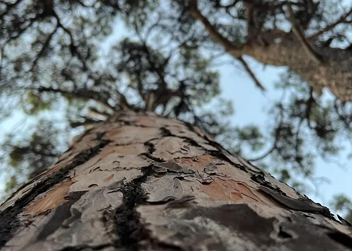 Апартаменты Not Working *