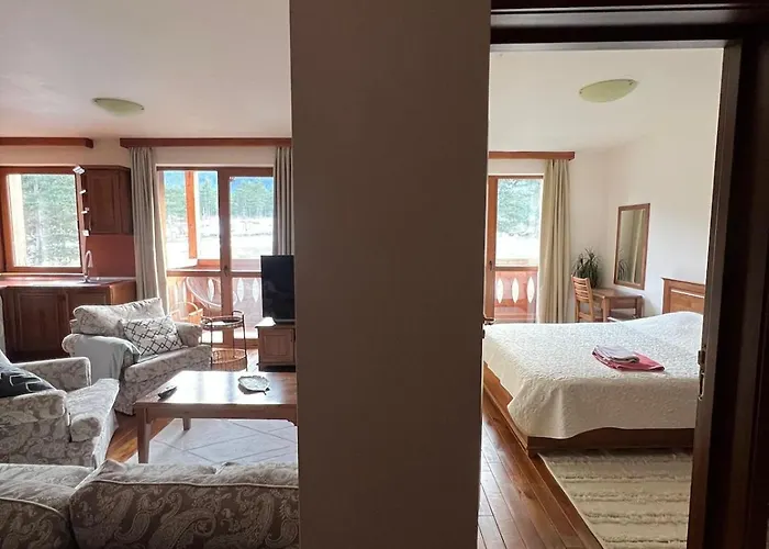 Апартаменты Not Working Разлог