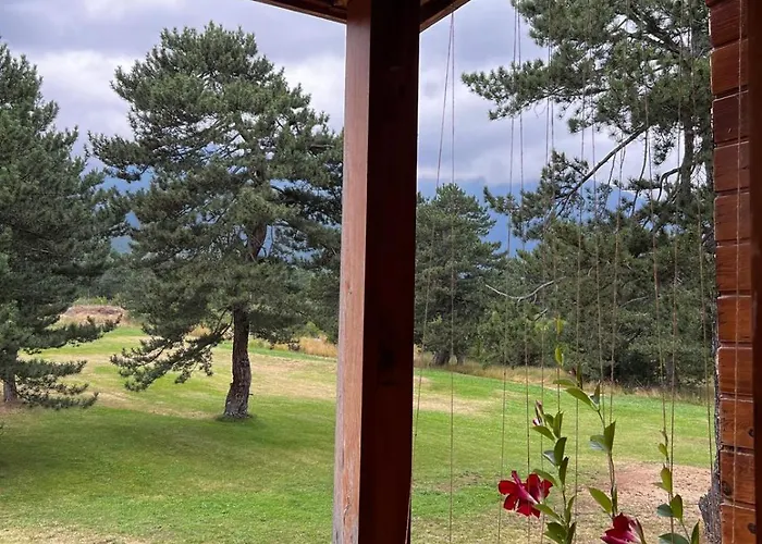 Not Working Апартаменты *